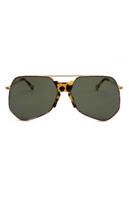 Grey Ant Goste 58mm Aviator Sunglasses in Gold/Green