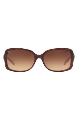 RALPH by Ralph Lauren 58mm Gradient Rectangular Sunglasses in Tortoise Violet
