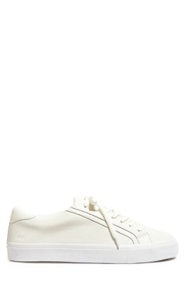 Madewell Sidewalk Low Top Sneaker in Pale Parchment