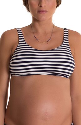 Pez D'Or Alba Stripe Maternity Bikini Top in Navy/White