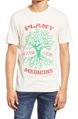 Altru Men's Plant Medicine Graphic Tee in Natural