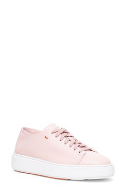 Santoni Fuzz Leather Sneaker in Light Pink