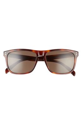 CELINE 57mm Rectangular Sunglasses in Shiny Mid Havana/Brown