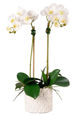 Bloomr Casual Orchid Planter Decoration in White