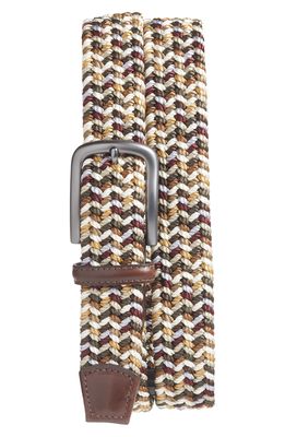 Torino Woven Belt in Brown Multicolor