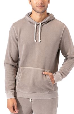 Threads 4 Thought Mineral Wash Organic Cotton Blend Hoodie in Antler