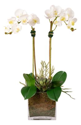Bloomr Orchid & Succulent Planter Decoration in Brown Medium