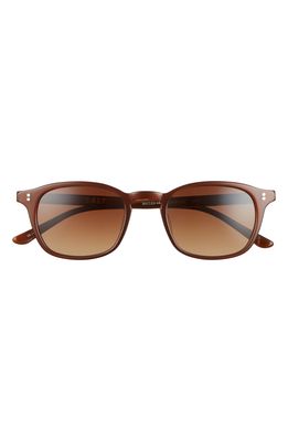 SALT. Quinn 50mm Polarized Sunglasses in Coffee Black/Brown