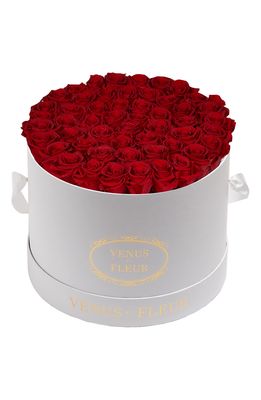 Venus ET Fleur Classic Large Eternity Roses in Dark Red