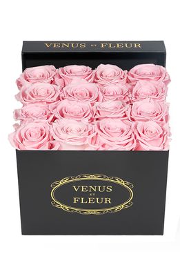 Venus ET Fleur Classic Small Square Eternity Roses in Pink