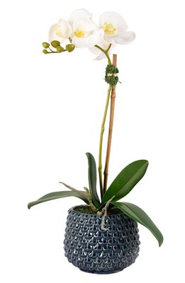 Bloomr Pearl Orchid Planter Decoration in Blue Small