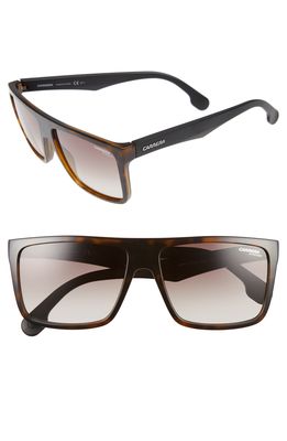 Carrera Eyewear 58mm Sunglasses in Havana Matte Black/Brown