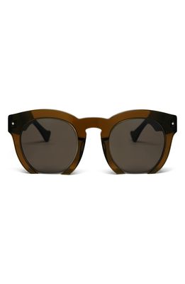 Grey Ant Fromone 50mm Round Sunglasses in Brown/Brown