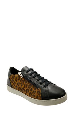David Tate Elisa Sneaker in Leopard Print Leather