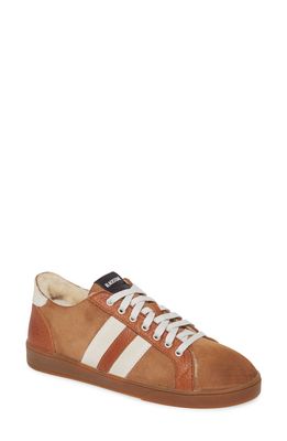 Blackstone SL88 Genuine Shearling Lined Sneaker in Rust Leather