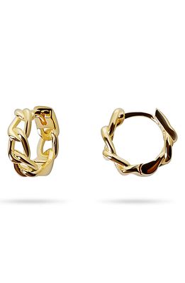 The M Jewelers The Tiny Curb Link Hoop Earrings in Gold