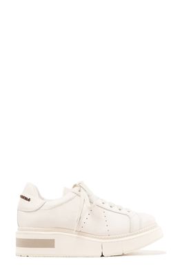 Paloma Barcelo Agen Sneaker in White/Gesso-Taupe