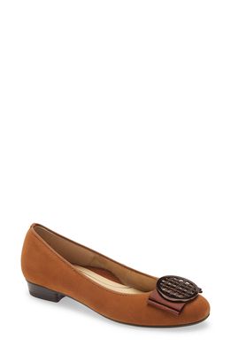 ara Bambi Flat in Whiskey Suede