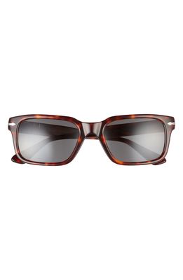 Persol 53mm Rectangular Polarized Sunglasses in Dark Havana