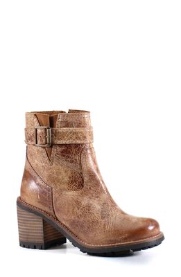 Diba True Craze Hot Bootie in Tan