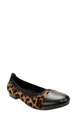 David Tate Nicole Cap Toe Flat in Black Leather/Leopard Print