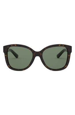Ralph Lauren 54mm Square Sunglasses in Shiny Dark Havana/green