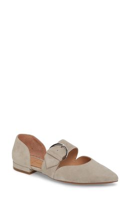Linea Paolo Dean Pointy Toe Flat in Dove Suede