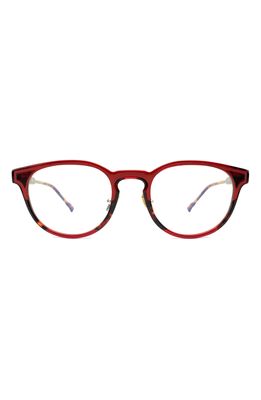 Coco and Breezy Spirit 49mm Round Blue Light Glasses in Red Tortoise