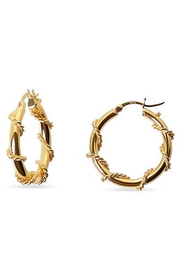 The M Jewelers The Bari Hoop Earrings in Gold