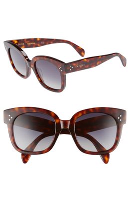 CELINE 54mm Polarized Square Sunglasses in Red Havan/Smoke
