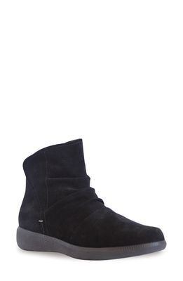 Munro Scout Water Resistant Bootie in Black Suede
