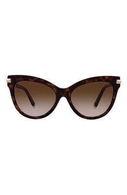 Tiffany & Co. Tiffany 55mm Cat Eye Sunglasses in Havana/Brown Gradient