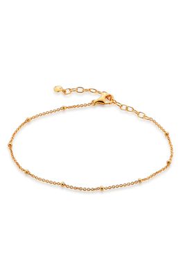 Monica Vinader Bead Station Chain Link Bracelet in Yellow Gold