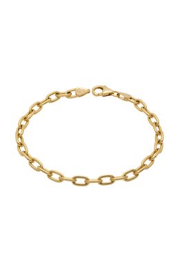 Stephanie Windsor 14K Gold Oval Link Chain Bracelet in Yellow Gold
