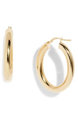 Argento Vivo Sterling Silver Oval Hoop Earrings in Gold