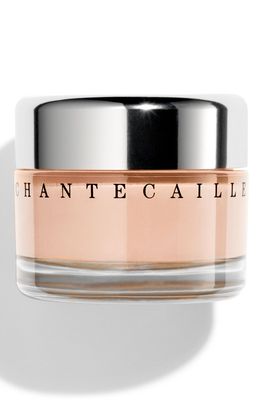 Chantecaille Future Skin Gel Foundation in Ivory