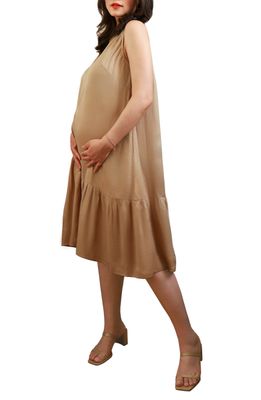 Emilia George Violette Satin Maternity/Nursing Dress in Light Beige