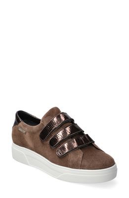Mephisto Frederica Sneaker in Taupe/Luxor