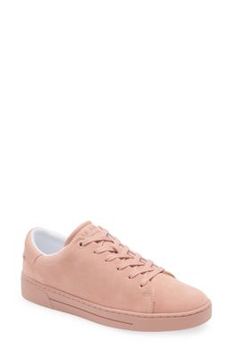 Ted Baker London Aryas Sneaker in Dusky Pink