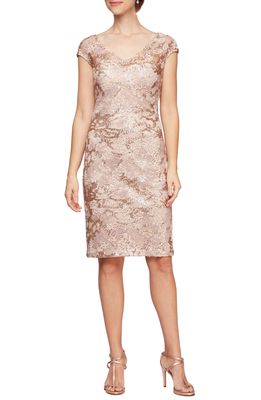 Alex Evenings Sequin Lace Cocktail Dress in Rose Gold