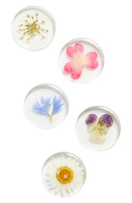 Dauphinette Set of 5 Assorted Floral Buttons in Multi