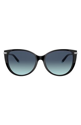 Tiffany & Co. 57mm Gradient Cat Eye Sunglasses in Black