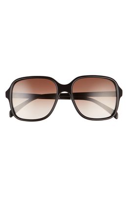 CELINE 57mm Square Sunglasses in Shiny Black/Brown