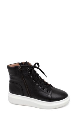 Linea Paolo Tanya High Top Sneaker Boot in Black