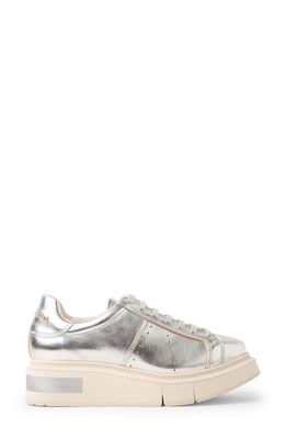 Paloma Barcelo Agen Sneaker in Leather Silver