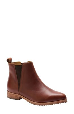 Nisolo Everyday Chelsea Boot in Brandy