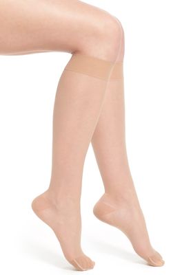 ITEM m6 Sheer Compression Knee High Socks in Powder