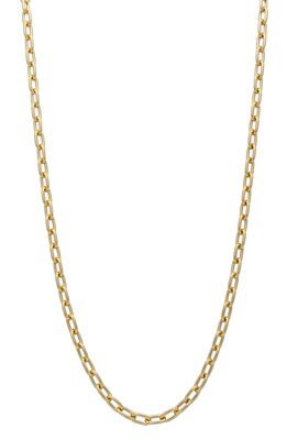 Stephanie Windsor 14K Gold Chain Necklace in Yellow Gold