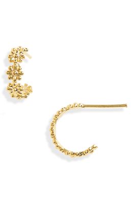 Estella Bartlett Daisy Chain Hoop Earrings in Gold