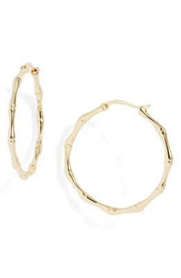 Argento Vivo Sterling Silver Thin Bamboo Hoop Earrings in Gold